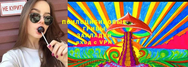 герыч Алексин