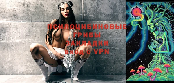 герыч Алексин