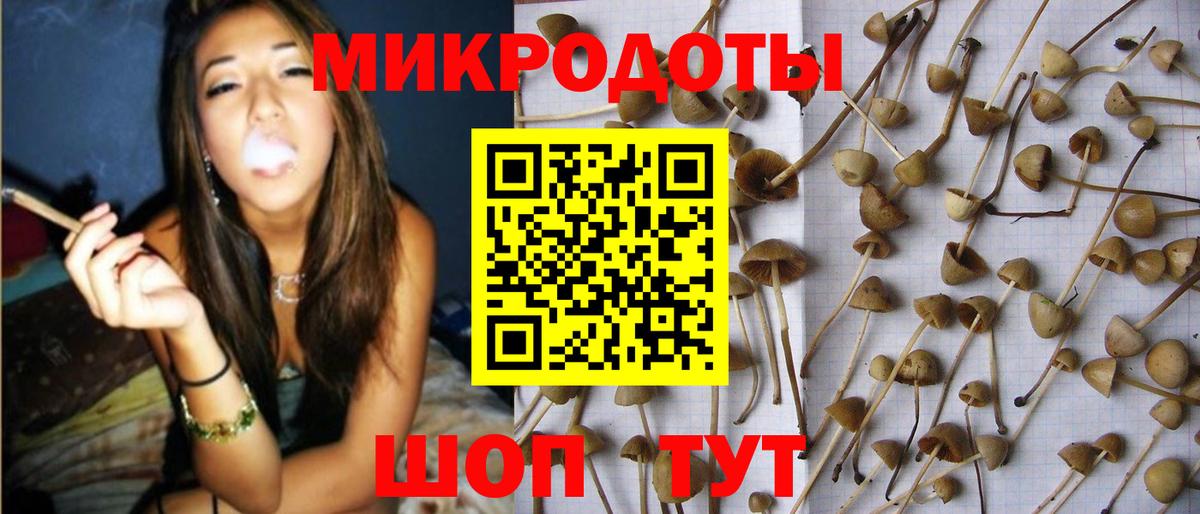 Южно-Сахалинск  магазин    Вход с VPN  Галлюциногенные грибы мухоморы 